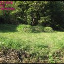 임천면가신리보건진료소 이미지