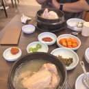 고려조삼계탕 | 광주 복날 초복 고려조 삼계탕 상무점 솔직 후기