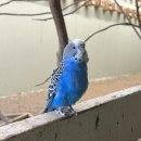 평산목장 이미지