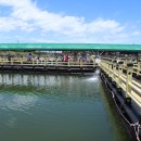 낚고락고 이미지