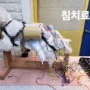 더독동물병원 이미지