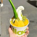 (주)메디아나 | 스페인 요아정 야오야오 llaollao :: 주문 방법 추천 메뉴 토핑 요거트 아이스크림 맛집 바르셀로나...