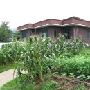 시골집본가 이미지