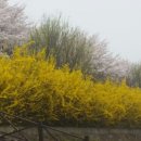 송도 달빛공원 이미지