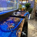 단비포차 이미지