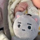 대장🐱 이미지