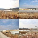 청미천 4 이미지