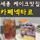 도담동_카림에비뉴 | 세종 도담동 케이크 맛집 카페넥타르 디저트 좋아하면 무조건 가봐야 할 카페
