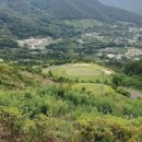 밀양노벨CC클럽하우스 이미지