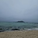 제주 한 달 살기 일상｜41일차(4.21)｜제주 사찰 약천사｜하논분화구｜쇠소깍｜다정이네김밥