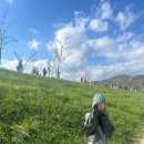 국궁장화장실 이미지