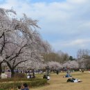 어린이대공원 제5호 이미지