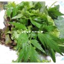 수리산돌솥쌈밥 이미지