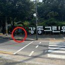 수위계 티스토리