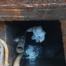 충청세차장 이미지