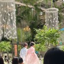 그린꽃하우스 - 고양시 일산동구 식사로 38 | 크레스트72 웨딩홀 하객 후기 🤍 그린하우스 감성 가득했던 결혼식 다녀온 이야기
