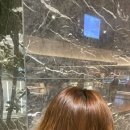 슬기머리방