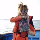 노을쭈꾸미 이미지