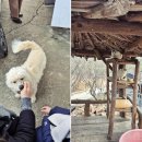 하늘밭, 봄 이미지