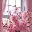 아름다운삶 이미지