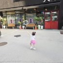 대연식당 | 주안 줄서서 먹는 중식 맛집 대연 짜장면, 옛날 볶음밥, 탕수육 내돈내산 솔직후기