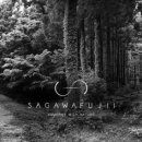 나무안경 이미지