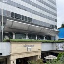 황토자라가든 | 강남 단독 웨딩홀 학동 셀럽앤어셈 견적 상담&amp;투어 솔직 후기, 26년 하반기 견적 공유O