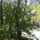 아동미술 심리상담사 이미지