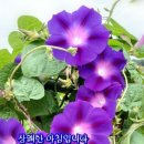 농부이야기 이미지
