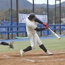 배민수 카카오 검색결과