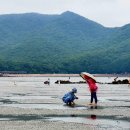 하나개해수욕장 -해변 앞 이미지