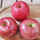 이미자농장 이미지