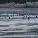 개매기체험장 이미지