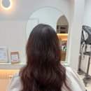 헤어드레브 | 울산동구미용실 헤어드레브 동구점