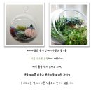 반려식물 - 정읍시 하신경9길 3 | 반려식물