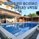 솔다이버스 | 말라파스쿠아 솔다이버스 4박5일 내돈내산 후기