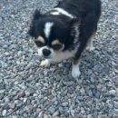 세븐일레븐 홍천오션점 이미지