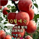 취화공연(吹火表演) 이미지