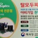 바이오 리플렉스 헤어