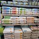 이마트에브리데이 성대점 | [이마트 에브리데이 신선원정대] 성대점 후기!