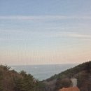 강릉임해자연휴양림 | 🌊 숲과 바다가 함께하는 힐링! 🍲 강릉 임해자연휴양림 &amp; 시골식당, 완벽했던 강릉 여행 후기!