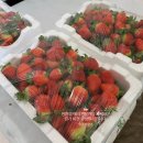 율면농장 이미지