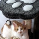 조이병원 이미지