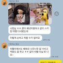 도그송 강아지분양 인천 송도점 이미지