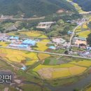 보라빛농원