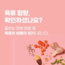 바른독 | (협찬) 웰츠독 어덜트 강아지 사료 체험 후기
