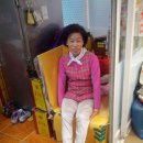 진주네분식 이미지