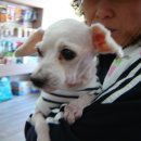 한결동물병원 이미지