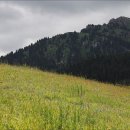 남인목장 이미지