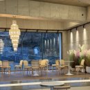 아브니르 이미지